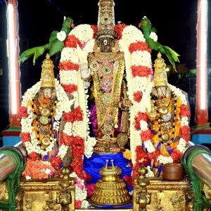 Sri Parthasarathy in theppam Day 1