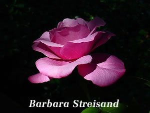 s-barbra-streisand3[1].jpg