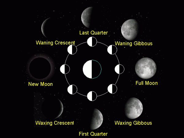 MoonPhases.gif