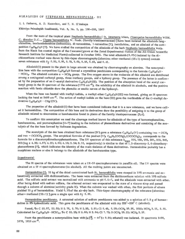 Clypea Hernandifolia.webp