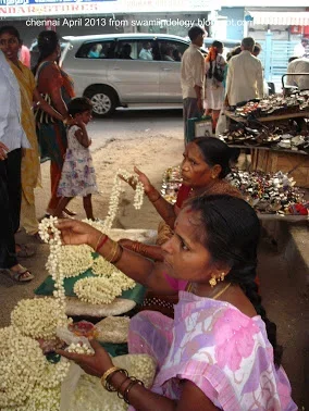 chennai jasmine.webp