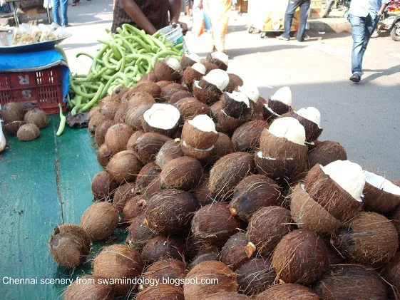 chennai thengai pu.webp