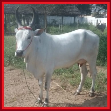 WhatsApp Image 2021-02-04 at 10.46.07.jpeg