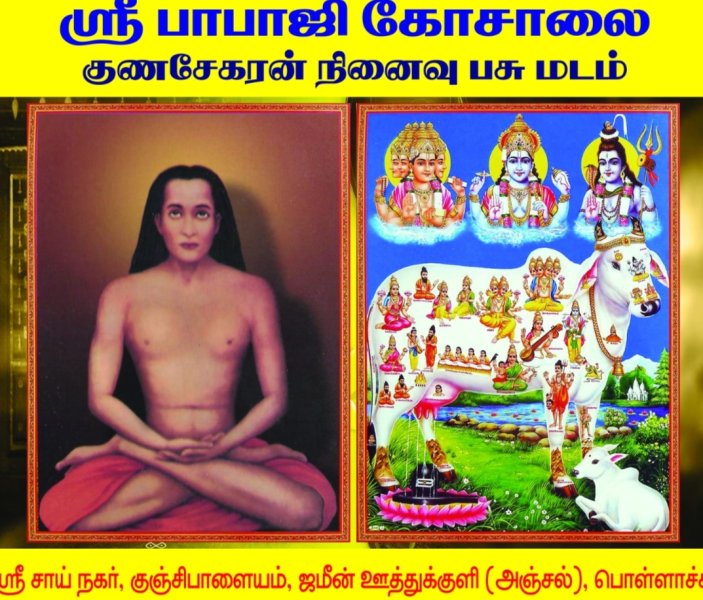 WhatsApp Image 2020-07-16 at 20.58.59.jpeg