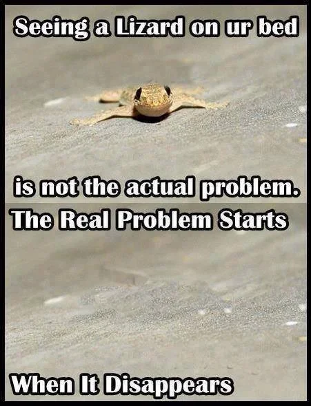 Lizard Gautham.webp Lizard Gautham.webp