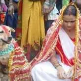 video.yoddnews.com@2ed211ef-04aa-3f47-a2f1-3c4b29648886_FULL.webp video.yoddnews.com@2ed211ef-04aa-3f47-a2f1-3c4b29648886_FULL.webp