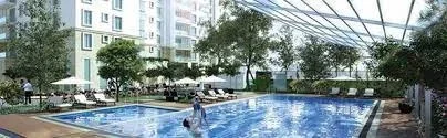 aparna elina pool - Copy.webp