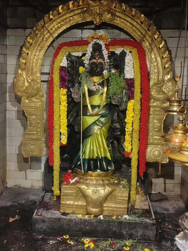 IMG_20261020_221528767_HDR.webp