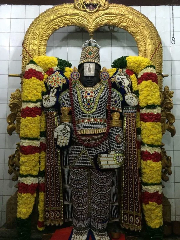 Om Namo Narayana.webp