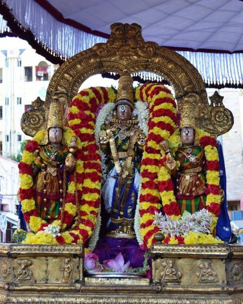 Puratasi Masam Sani varam 4 Sri Narasimhar (Azhagiyasingar) Purapadu.jpg