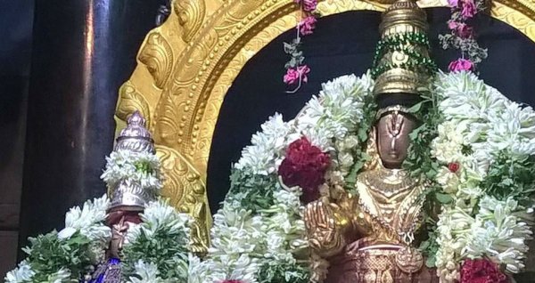 Thirupullani Sri Padmasini Thayar Sametha Sri Jagannatha Perumal.jpg