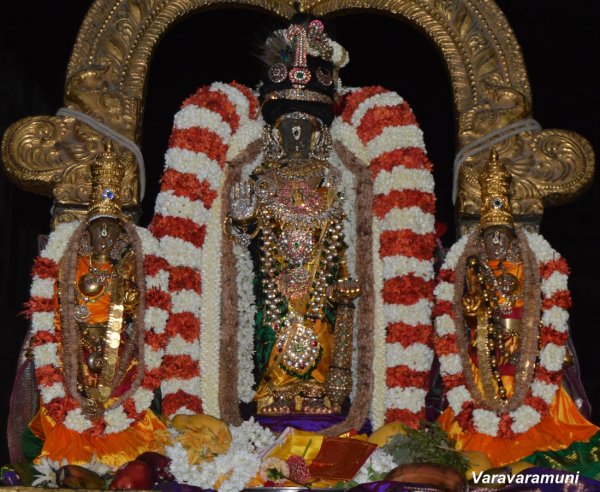 Sri Parthasarathy Swamy Ippasi Rohini Nakshatra Purappadu.jpg