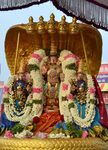 Sri Varadhar Sesha Vaghanam Purapadu.jpg