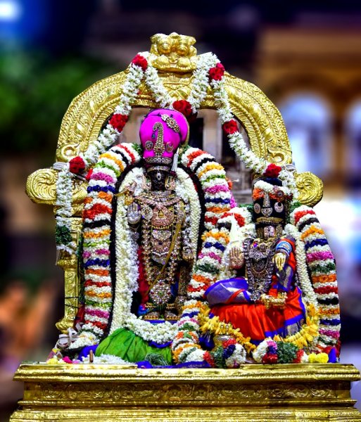 Sri Parthasarathy Swami, Thiruvallikeni, Aadi Pooram.jpeg