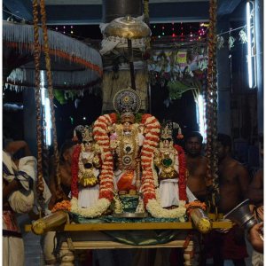 Tiruputkuzhi vijayaraghavan in oonjal sevai