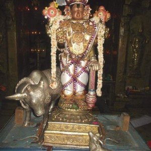 Terunzndar Sri Aamuriviappan