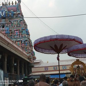 Sri Gajendra Varadar - Hastham Purapaadu