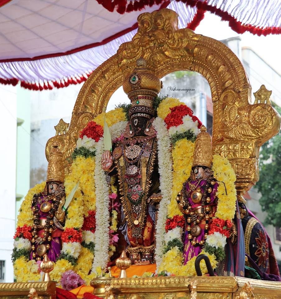 Kaisika Dwadasi - Sri Parthasarathy Swamy Purappaadu