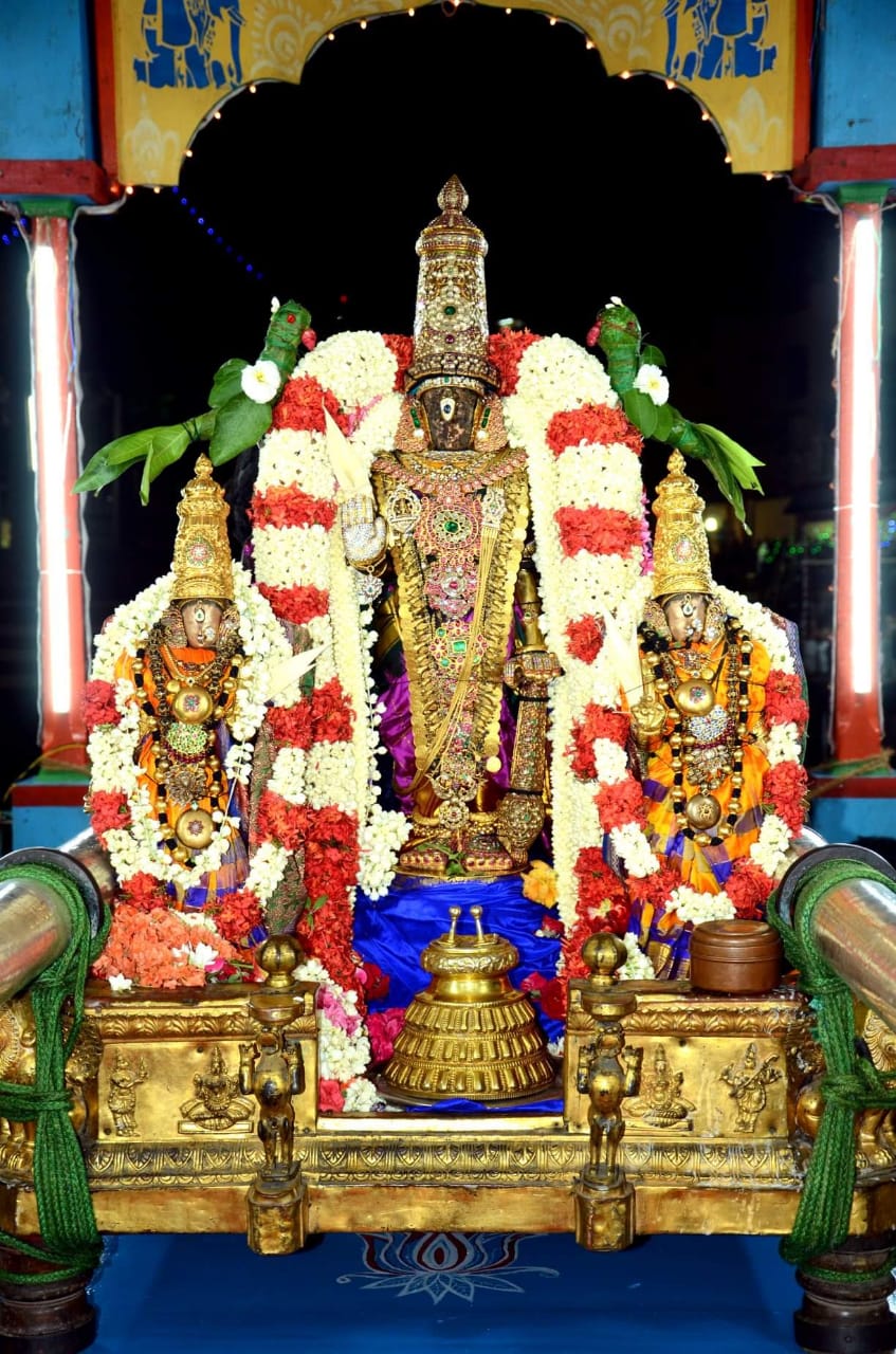Sri Parthasarathy in theppam Day 1